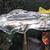 Glass & Metal Sculpture, Bird Bath, Detail, Grenada